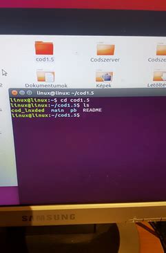 Running CoD Mobile on Linux .